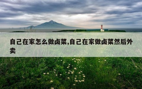 自己在家怎么做卤菜,自己在家做卤菜然后外卖