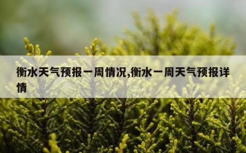 衡水天气预报一周情况,衡水一周天气预报详情