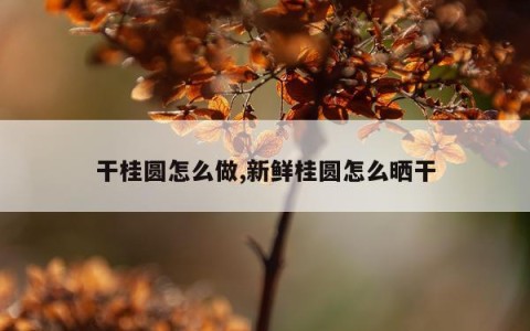 干桂圆怎么做,新鲜桂圆怎么晒干