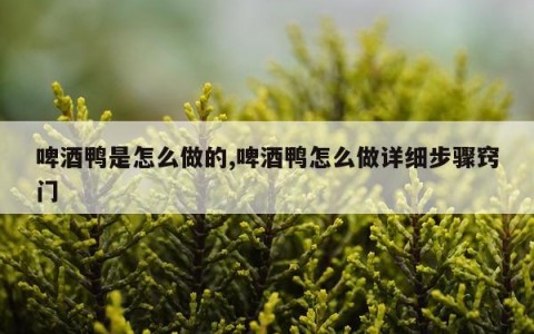 啤酒鸭是怎么做的,啤酒鸭怎么做详细步骤窍门