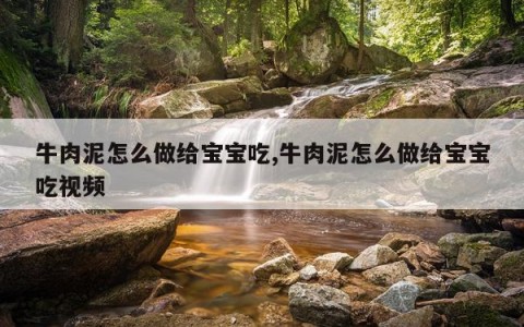 牛肉泥怎么做给宝宝吃,牛肉泥怎么做给宝宝吃视频