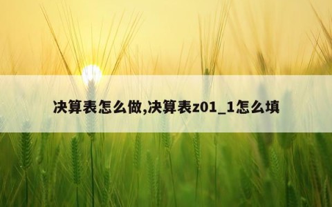 决算表怎么做,决算表z01_1怎么填