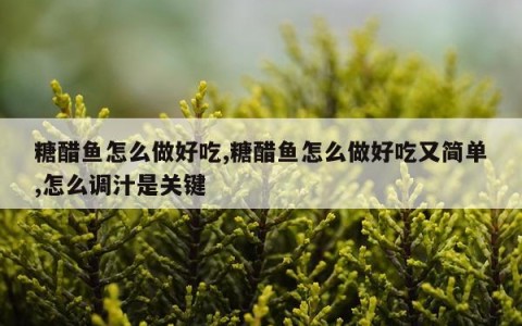 糖醋鱼怎么做好吃,糖醋鱼怎么做好吃又简单,怎么调汁是关键