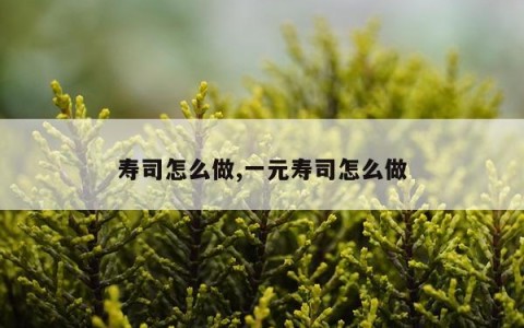 寿司怎么做,一元寿司怎么做