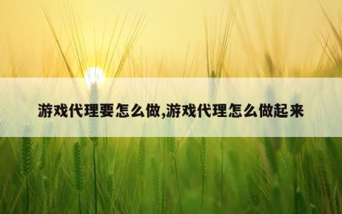 游戏代理要怎么做,游戏代理怎么做起来