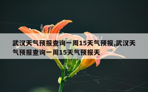 武汉天气预报查询一周15天气预报,武汉天气预报查询一周15天气预报天