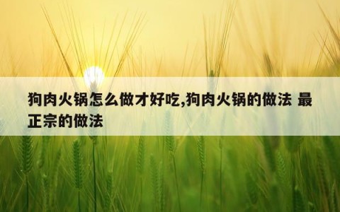 狗肉火锅怎么做才好吃,狗肉火锅的做法 最正宗的做法