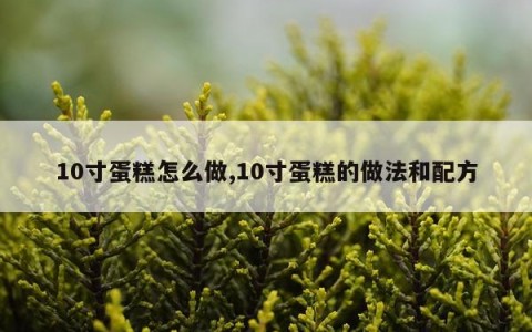 10寸蛋糕怎么做,10寸蛋糕的做法和配方