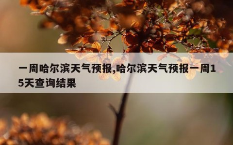 一周哈尔滨天气预报,哈尔滨天气预报一周15天查询结果