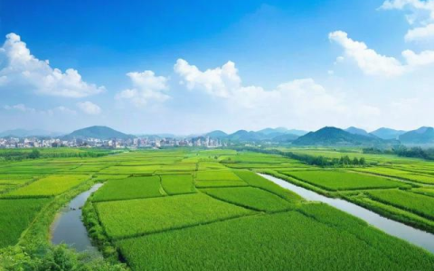 清丰天气预报一周7天,清丰天气预报一周7天查询
