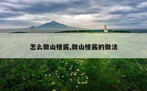 怎么做山楂酱,做山楂酱的做法
