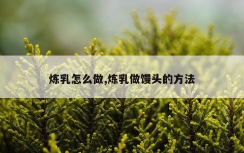 炼乳怎么做,炼乳做馒头的方法