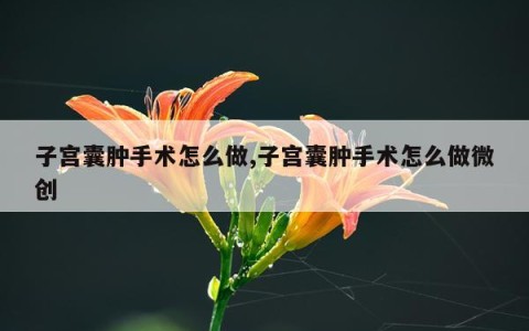 子宫囊肿手术怎么做,子宫囊肿手术怎么做微创