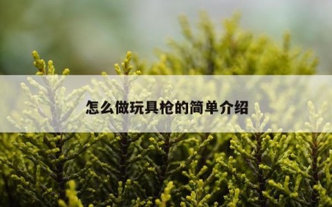 怎么做玩具枪的简单介绍