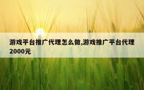 游戏平台推广代理怎么做,游戏推广平台代理2000元