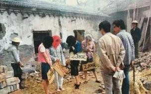 小花梅是如何被发现的 小花梅和子女现状如何