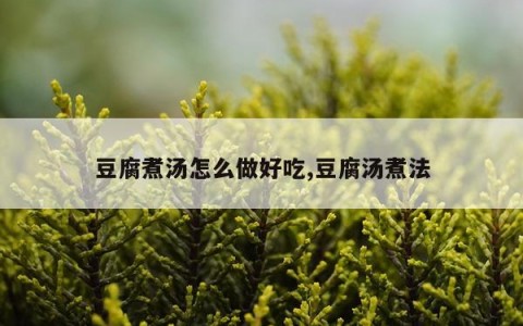 豆腐煮汤怎么做好吃,豆腐汤煮法