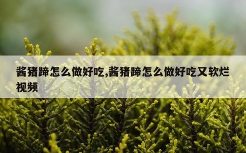 酱猪蹄怎么做好吃,酱猪蹄怎么做好吃又软烂视频