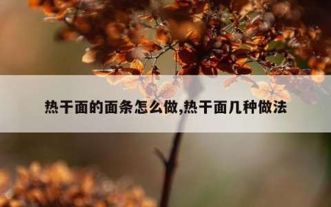 热干面的面条怎么做,热干面几种做法