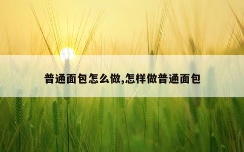 普通面包怎么做,怎样做普通面包