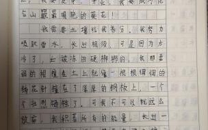 关于植物的作文（300字） 植物300作文免费可抄