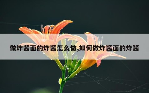 做炸酱面的炸酱怎么做,如何做炸酱面的炸酱
