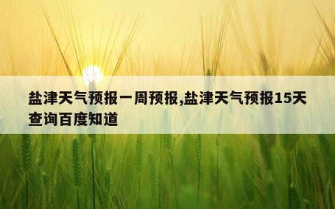 盐津天气预报一周预报,盐津天气预报15天查询百度知道