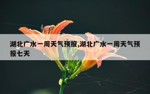 湖北广水一周天气预报,湖北广水一周天气预报七天