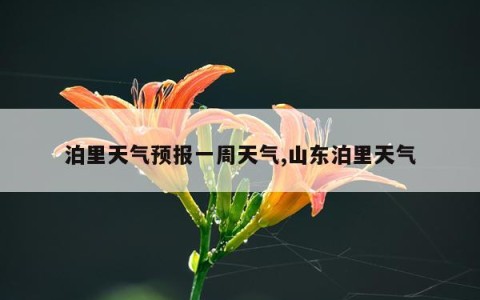 泊里天气预报一周天气,山东泊里天气