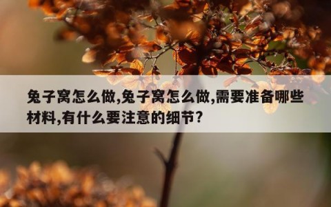 兔子窝怎么做,兔子窝怎么做,需要准备哪些材料,有什么要注意的细节?