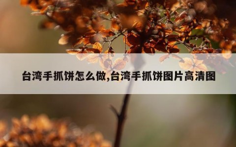 台湾手抓饼怎么做,台湾手抓饼图片高清图