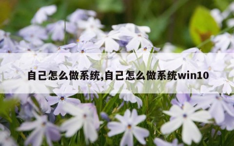 自己怎么做系统,自己怎么做系统win10