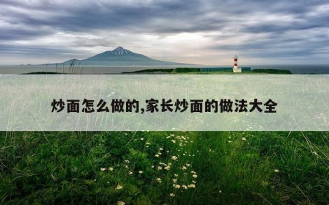 炒面怎么做的,家长炒面的做法大全