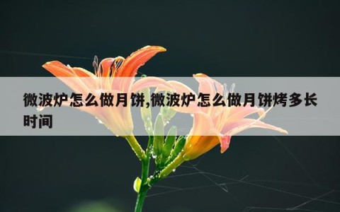 微波炉怎么做月饼,微波炉怎么做月饼烤多长时间