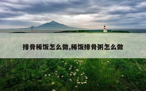 排骨稀饭怎么做,稀饭排骨粥怎么做