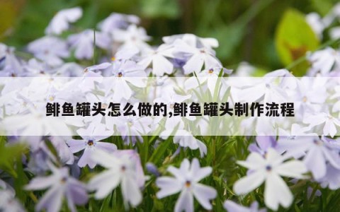 鲱鱼罐头怎么做的,鲱鱼罐头制作流程