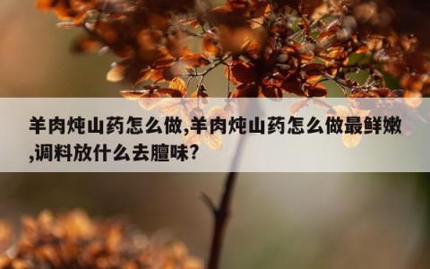 羊肉炖山药怎么做,羊肉炖山药怎么做最鲜嫩,调料放什么去膻味?