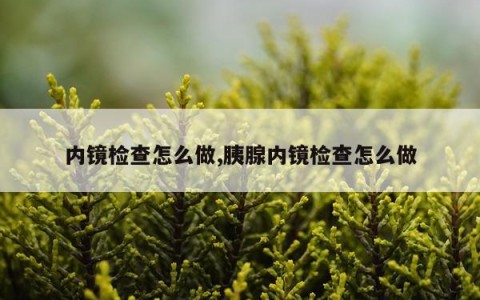内镜检查怎么做,胰腺内镜检查怎么做