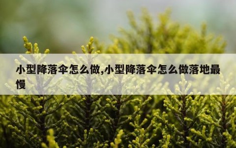 小型降落伞怎么做,小型降落伞怎么做落地最慢