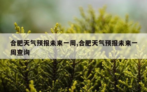 合肥天气预报未来一周,合肥天气预报未来一周查询