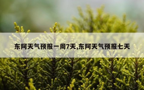 东阿天气预报一周7天,东阿天气预报七天
