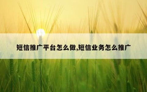 短信推广平台怎么做,短信业务怎么推广