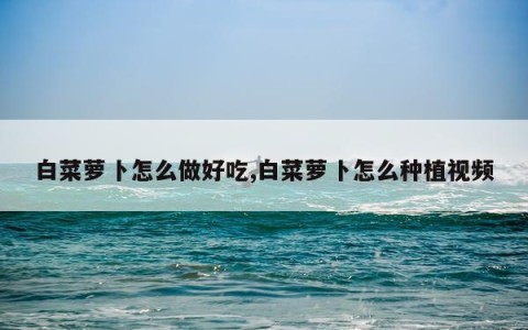 白菜萝卜怎么做好吃,白菜萝卜怎么种植视频