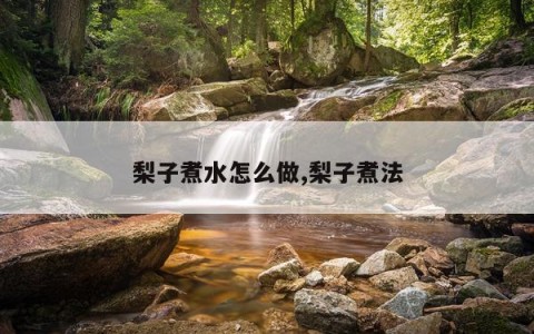 梨子煮水怎么做,梨子煮法