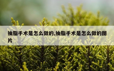 抽脂手术是怎么做的,抽脂手术是怎么做的图片