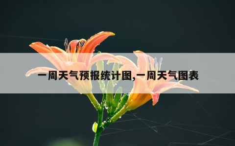 一周天气预报统计图,一周天气图表
