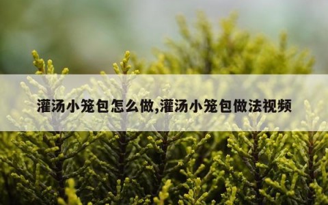 灌汤小笼包怎么做,灌汤小笼包做法视频