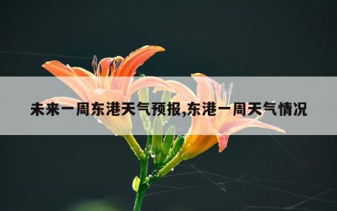 未来一周东港天气预报,东港一周天气情况
