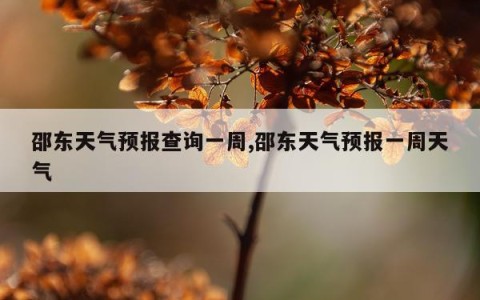 邵东天气预报查询一周,邵东天气预报一周天气