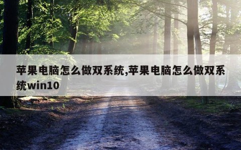 苹果电脑怎么做双系统,苹果电脑怎么做双系统win10